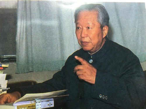 acupuncture in port coquitlam